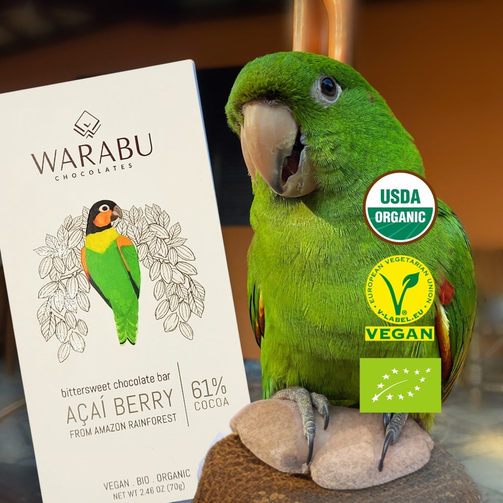 Semi-Sweet Cocoa Freeze-Dried Acai -  61% Organic Chocolate, Urucará Community, Amazon