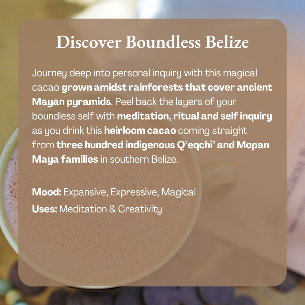 Boundless Belize 100% Cacao - Organic Ceremonial Chocolate: 1/2 lb