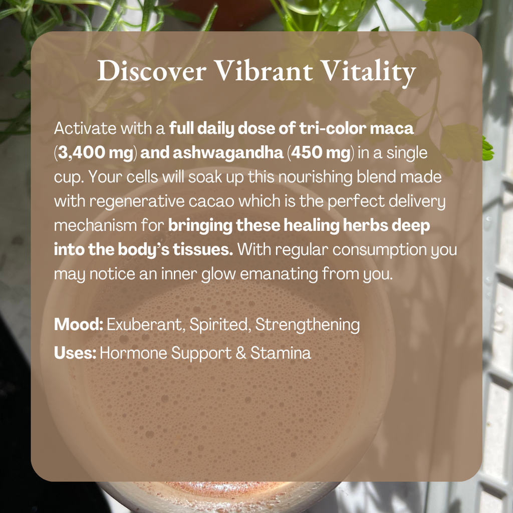 Vibrant Vitality Cacao - Organic Ceremonial Chocolate: 1/2 lb