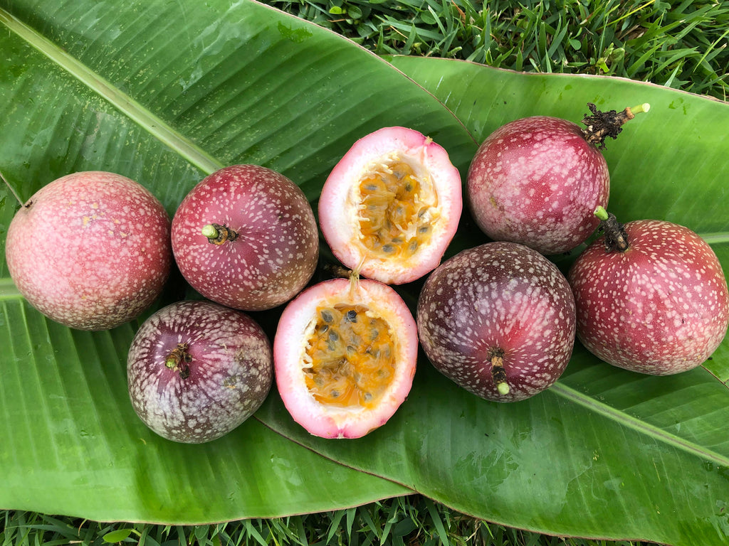 Aloha Bites Lilikoi (Passion Fruit) Jelly: 7 oz.