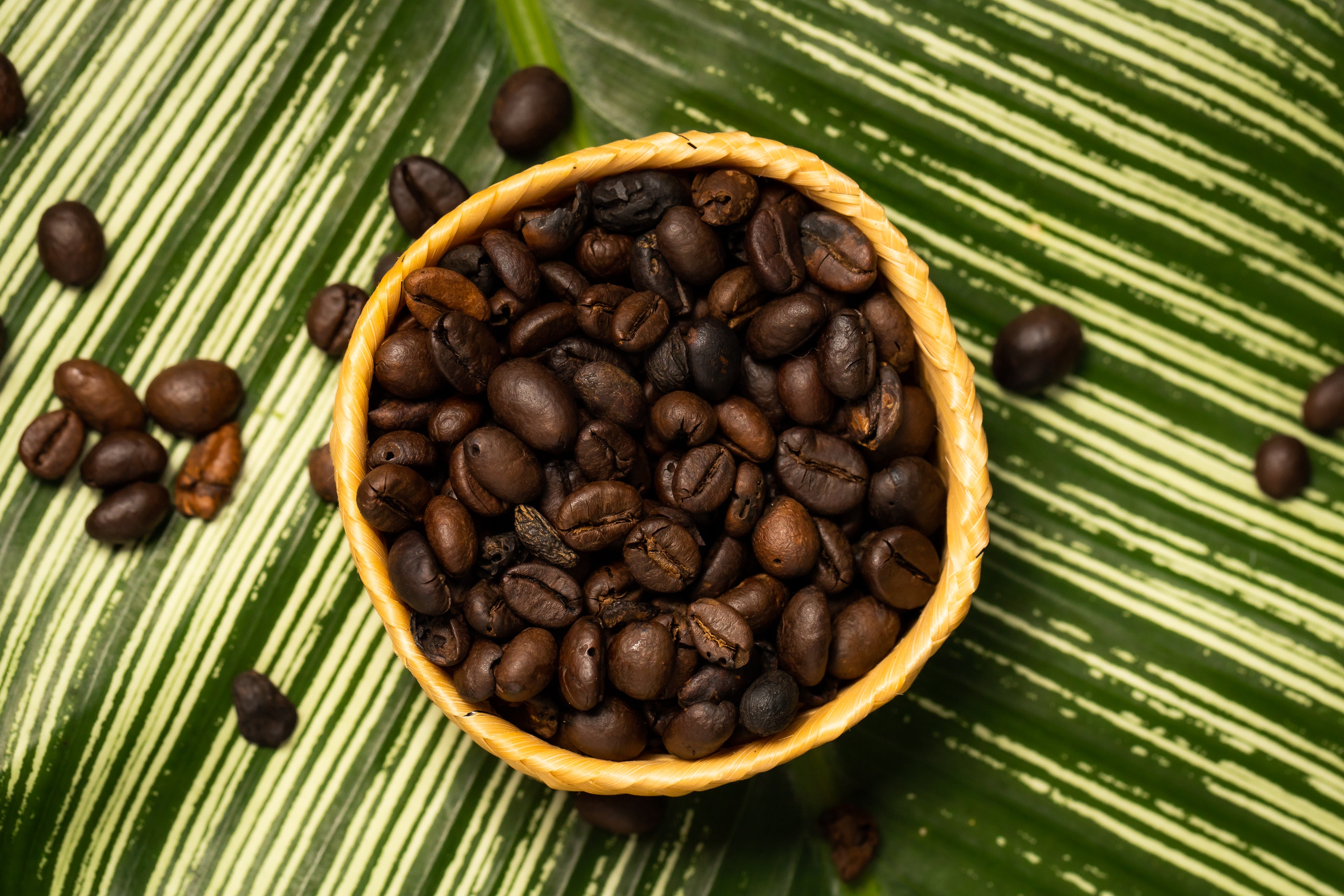 Café Robusta Amazônico Nº 1