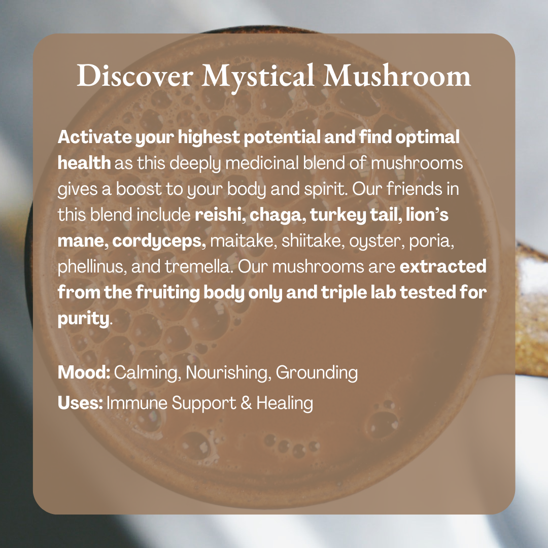 Mystical Mushroom Cacao - Organic Ceremonial Chocolate: 1/2 lb